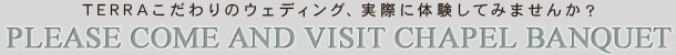 TERRAこだわりのウェディング